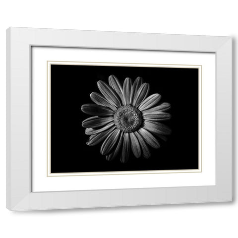 Backyard Flowers Black and White 52 White Modern Wood Framed Art Print with Double Matting by Carson, Brian
