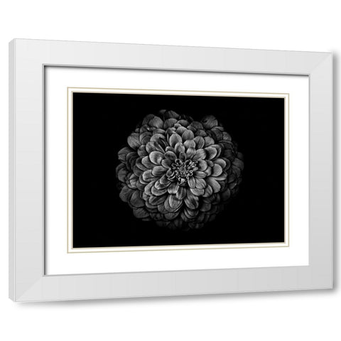 Backyard Flowers Black and White 54 White Modern Wood Framed Art Print with Double Matting by Carson, Brian