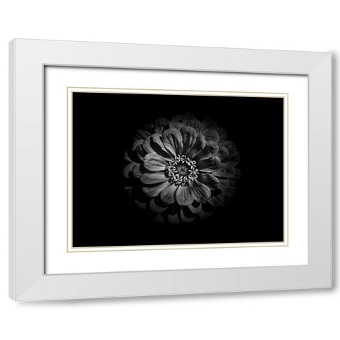 Backyard Flowers Black and White 58 White Modern Wood Framed Art Print with Double Matting by Carson, Brian