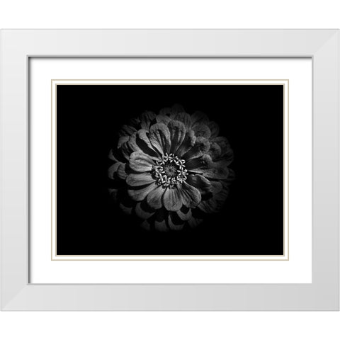 Backyard Flowers Black and White 58 White Modern Wood Framed Art Print with Double Matting by Carson, Brian