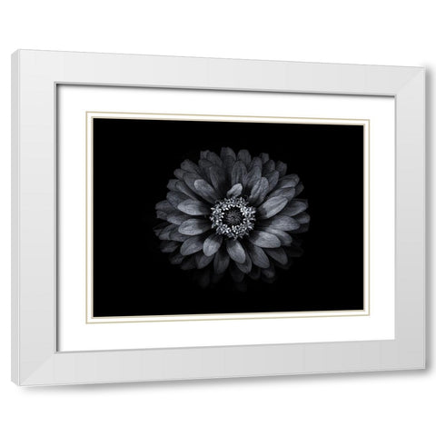 Backyard Flowers Black and White 69 White Modern Wood Framed Art Print with Double Matting by Carson, Brian