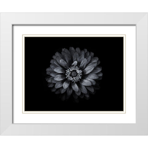 Backyard Flowers Black and White 69 White Modern Wood Framed Art Print with Double Matting by Carson, Brian