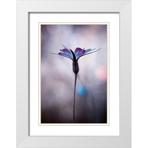 Sylvidra White Modern Wood Framed Art Print with Double Matting by Bravin, Fabien