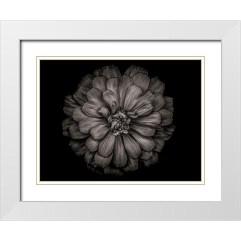 Backyard Flowers Black and White 86 White Modern Wood Framed Art Print with Double Matting by Carson, Brian