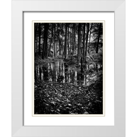 Gullwing Lake No 5 White Modern Wood Framed Art Print with Double Matting by Carson, Brian