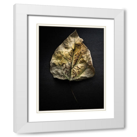 Leaves no 1 Color White Modern Wood Framed Art Print with Double Matting by Carson, Brian