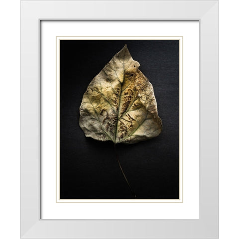 Leaves no 1 Color White Modern Wood Framed Art Print with Double Matting by Carson, Brian