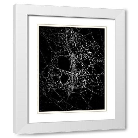 Spiderweb No 4 White Modern Wood Framed Art Print with Double Matting by Carson, Brian