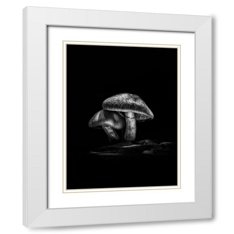 Toadstools on a Toronto Trail No 2 White Modern Wood Framed Art Print with Double Matting by Carson, Brian