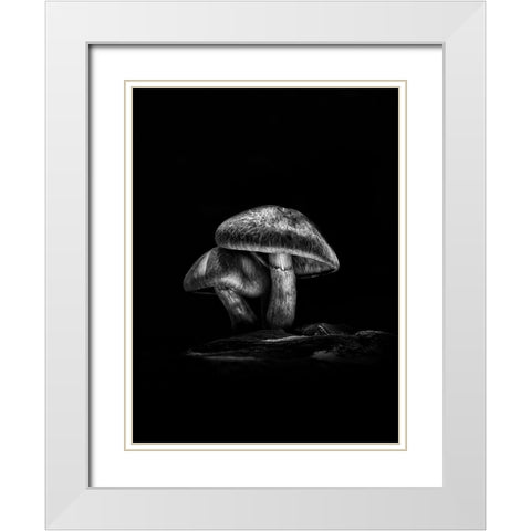 Toadstools on a Toronto Trail No 2 White Modern Wood Framed Art Print with Double Matting by Carson, Brian