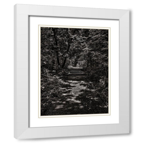Walk in the Park White Modern Wood Framed Art Print with Double Matting by Carson, Brian