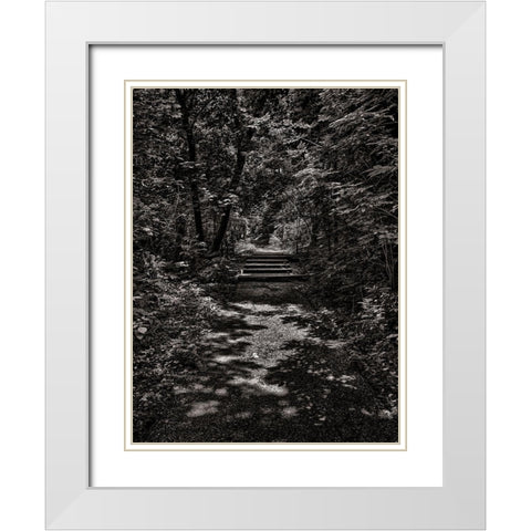 Walk in the Park White Modern Wood Framed Art Print with Double Matting by Carson, Brian