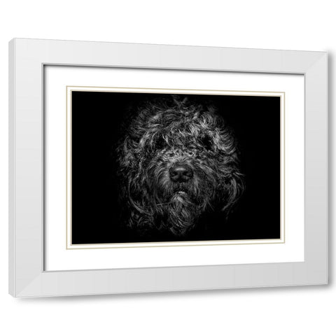 Ziggy Portrait White Modern Wood Framed Art Print with Double Matting by Carson, Brian