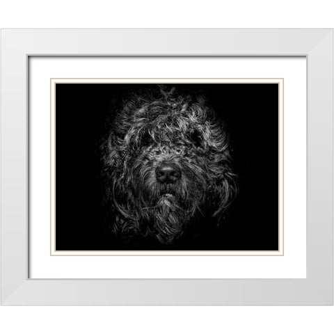 Ziggy Portrait White Modern Wood Framed Art Print with Double Matting by Carson, Brian