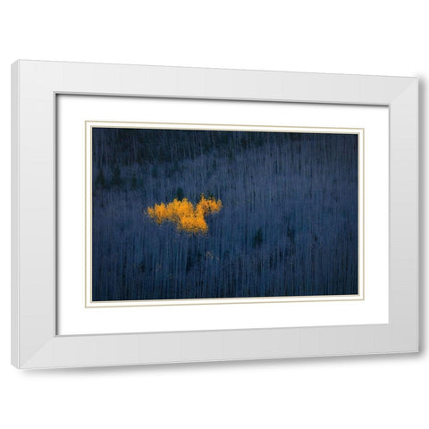 Heart of Aspens White Modern Wood Framed Art Print with Double Matting by Zheng, Michael