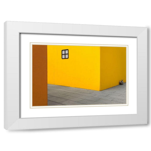 Yellow street dog White Modern Wood Framed Art Print with Double Matting by Tonti, Carlo