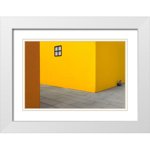 Yellow street dog White Modern Wood Framed Art Print with Double Matting by Tonti, Carlo