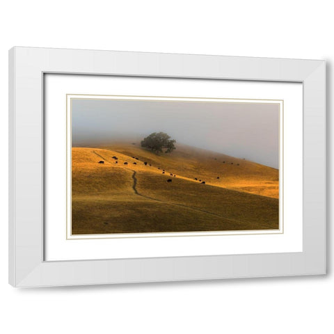 A Summer Morning in TriValley White Modern Wood Framed Art Print with Double Matting by Qiu, Jenny
