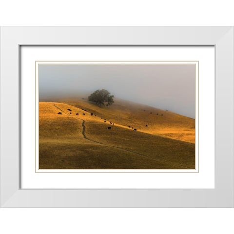 A Summer Morning in TriValley White Modern Wood Framed Art Print with Double Matting by Qiu, Jenny