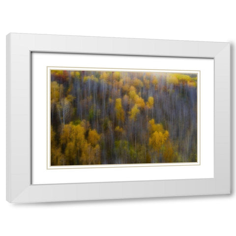 The color of autumn White Modern Wood Framed Art Print with Double Matting by Z, Bingo