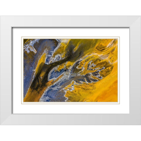 Poisoned flowers White Modern Wood Framed Art Print with Double Matting by Pop, Ovi