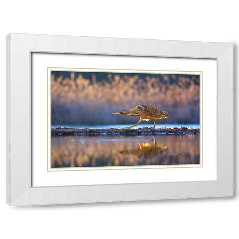 Patrol White Modern Wood Framed Art Print with Double Matting by Chang, Phillip