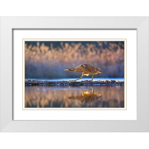 Patrol White Modern Wood Framed Art Print with Double Matting by Chang, Phillip