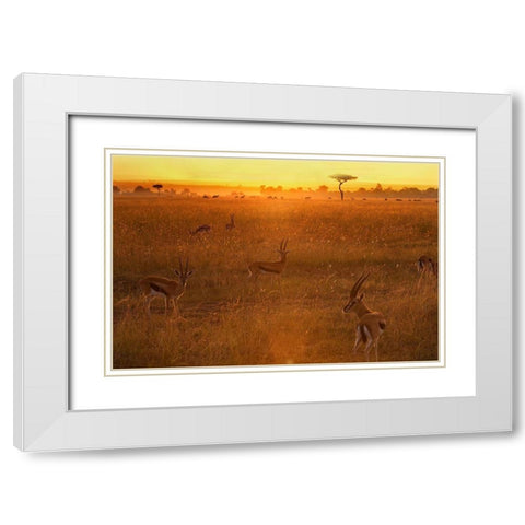 Morning White Modern Wood Framed Art Print with Double Matting by Chang, Phillip