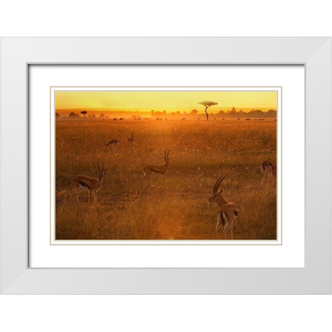 Morning White Modern Wood Framed Art Print with Double Matting by Chang, Phillip