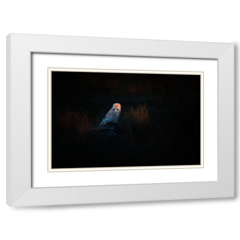 The Watcher White Modern Wood Framed Art Print with Double Matting by Chang, Phillip