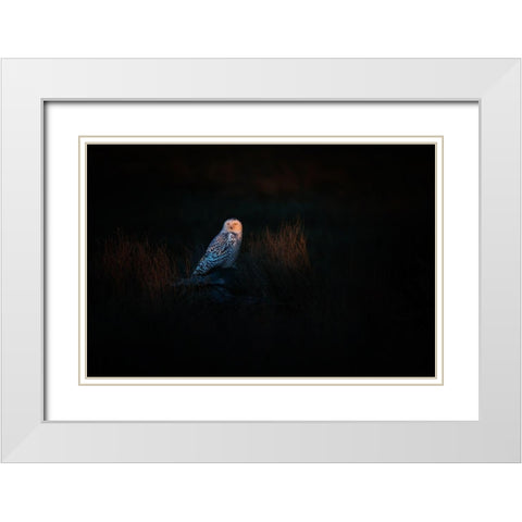 The Watcher White Modern Wood Framed Art Print with Double Matting by Chang, Phillip