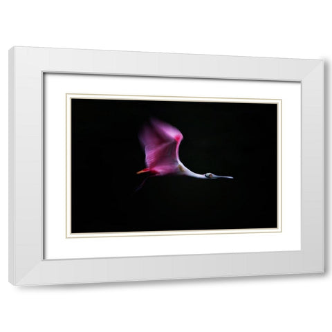 Rose in the Air White Modern Wood Framed Art Print with Double Matting by Chang, Phillip