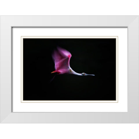 Rose in the Air White Modern Wood Framed Art Print with Double Matting by Chang, Phillip