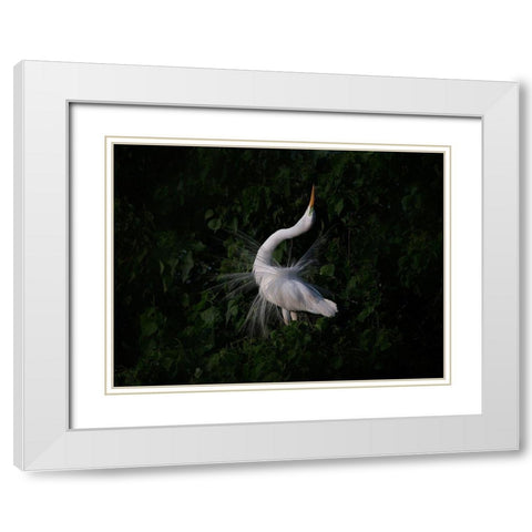 The Call White Modern Wood Framed Art Print with Double Matting by Chang, Phillip