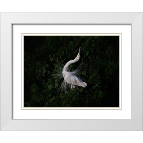 The Call White Modern Wood Framed Art Print with Double Matting by Chang, Phillip