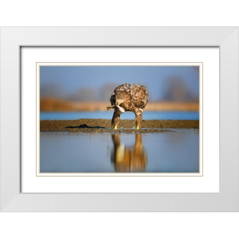 Dinner time White Modern Wood Framed Art Print with Double Matting by Chang, Phillip