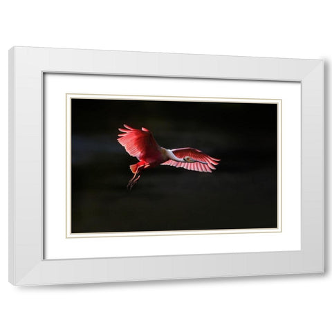 Fying home White Modern Wood Framed Art Print with Double Matting by Chang, Phillip