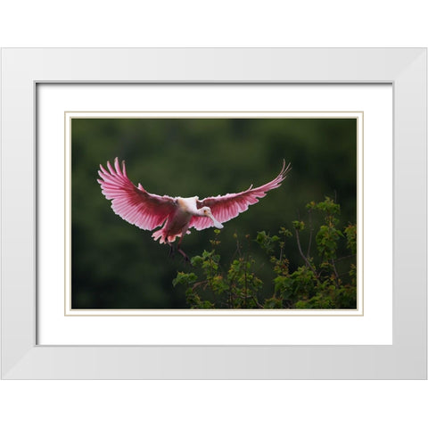 Landing White Modern Wood Framed Art Print with Double Matting by Chang, Phillip