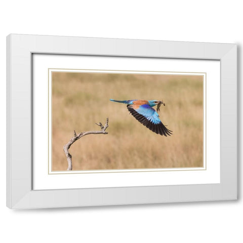 The Roller White Modern Wood Framed Art Print with Double Matting by Chang, Phillip