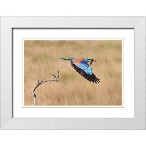 The Roller White Modern Wood Framed Art Print with Double Matting by Chang, Phillip