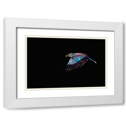 The Roller hunting White Modern Wood Framed Art Print with Double Matting by Chang, Phillip
