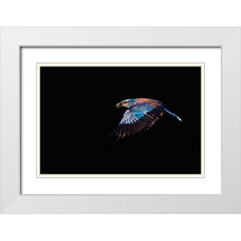 The Roller hunting White Modern Wood Framed Art Print with Double Matting by Chang, Phillip