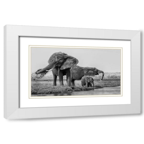 The family of elephants White Modern Wood Framed Art Print with Double Matting by Chang, Phillip