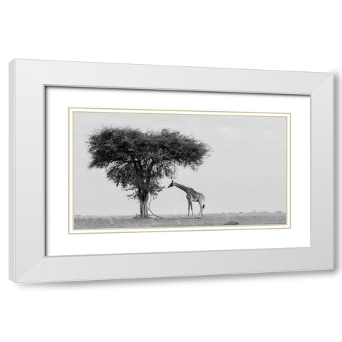 The wild White Modern Wood Framed Art Print with Double Matting by Chang, Phillip