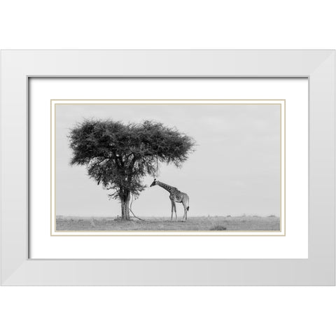 The wild White Modern Wood Framed Art Print with Double Matting by Chang, Phillip