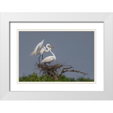 Working White Modern Wood Framed Art Print with Double Matting by Chang, Phillip