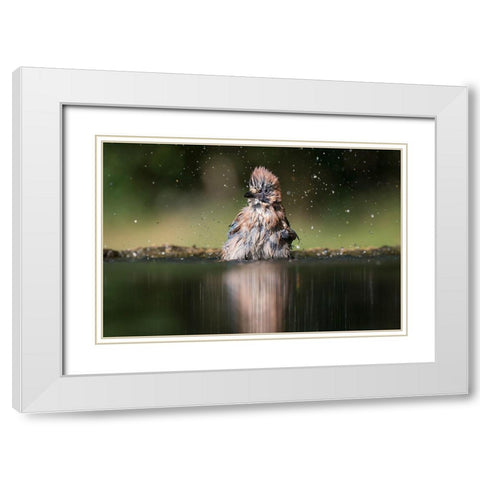 Showering White Modern Wood Framed Art Print with Double Matting by Chang, Phillip