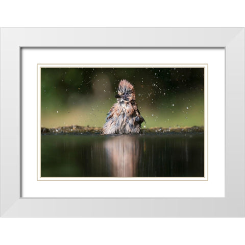 Showering White Modern Wood Framed Art Print with Double Matting by Chang, Phillip