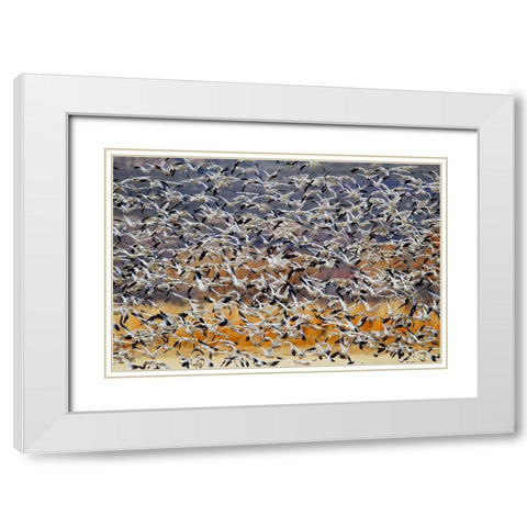 Togther White Modern Wood Framed Art Print with Double Matting by Chang, Phillip