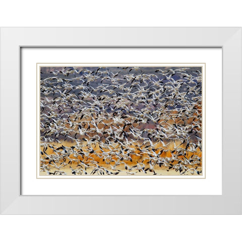 Togther White Modern Wood Framed Art Print with Double Matting by Chang, Phillip